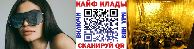 Магазины продажи наркотиков Сенгилей МДМА  APVP  Конопля  Мефедрон  Кокаин 