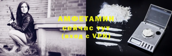 шишки Алексин