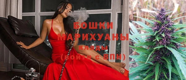 шишки Алексин
