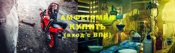 ПСИЛОЦИБИНОВЫЕ ГРИБЫ Алзамай