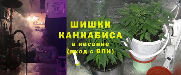 шишки Алексин