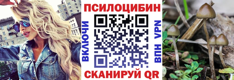 Псилоцибиновые грибы Cubensis  Сенгилей 