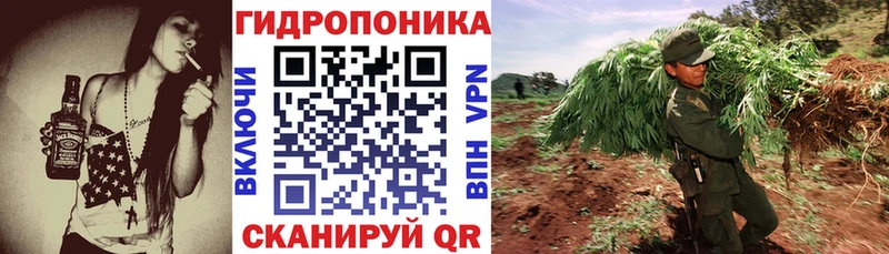 Конопля Ganja  Сенгилей 